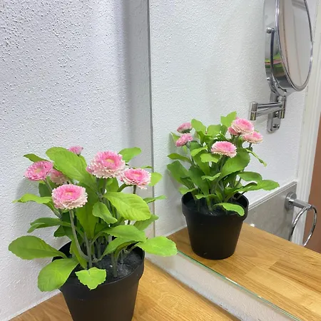 Q- Kleine Stadthotel 丁戈尔芬格
