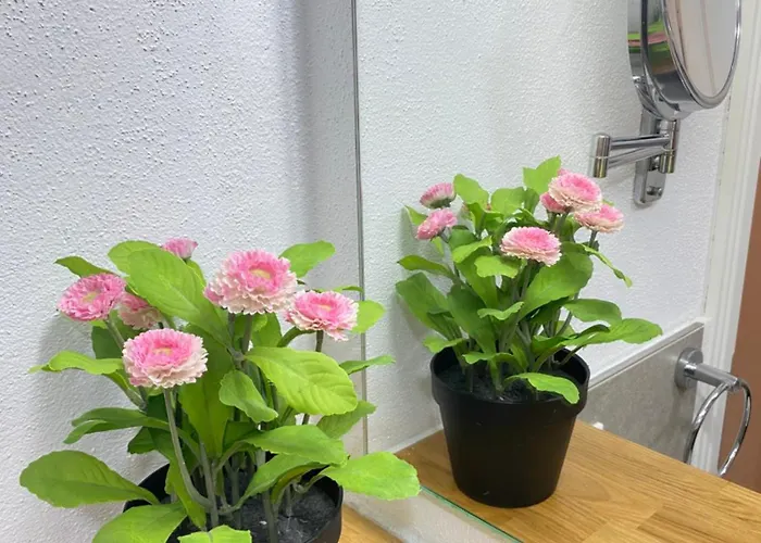 Q- Kleine Stadthotel 丁戈尔芬格